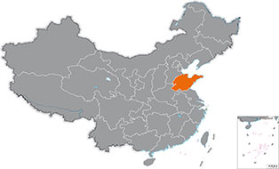 alt address-image